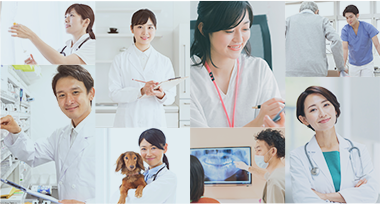 専門家イメージ